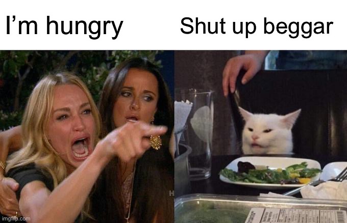 Woman Yelling At Cat | I’m hungry; Shut up beggar | image tagged in memes,woman yelling at cat | made w/ Imgflip meme maker