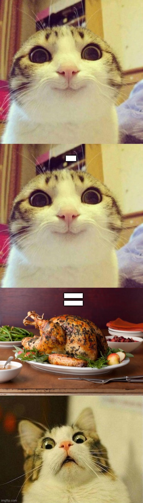 -; = | image tagged in memes,smiling cat,thanksgiving turkey,scared cat | made w/ Imgflip meme maker