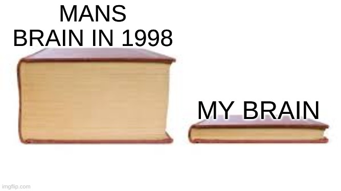 brainicles | MANS BRAIN IN 1998; MY BRAIN | image tagged in big book small book | made w/ Imgflip meme maker