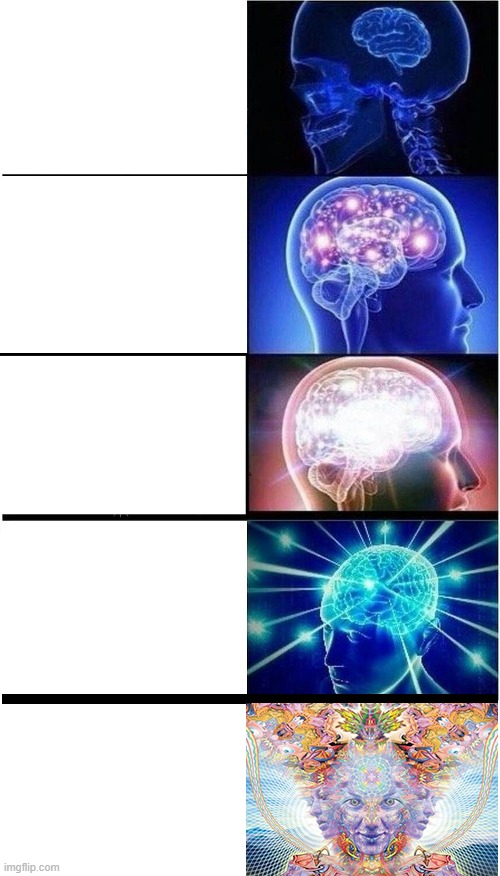 Brain Growth Extended | image tagged in brain growth extended | made w/ Imgflip meme maker