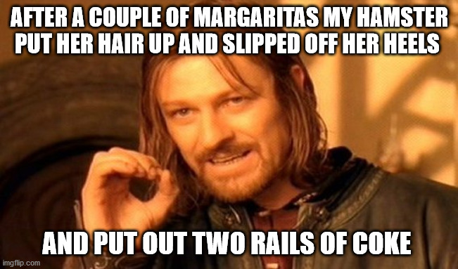 One Does Not Simply | AFTER A COUPLE OF MARGARITAS MY HAMSTER PUT HER HAIR UP AND SLIPPED OFF HER HEELS; AND PUT OUT TWO RAILS OF COKE | image tagged in memes,one does not simply | made w/ Imgflip meme maker