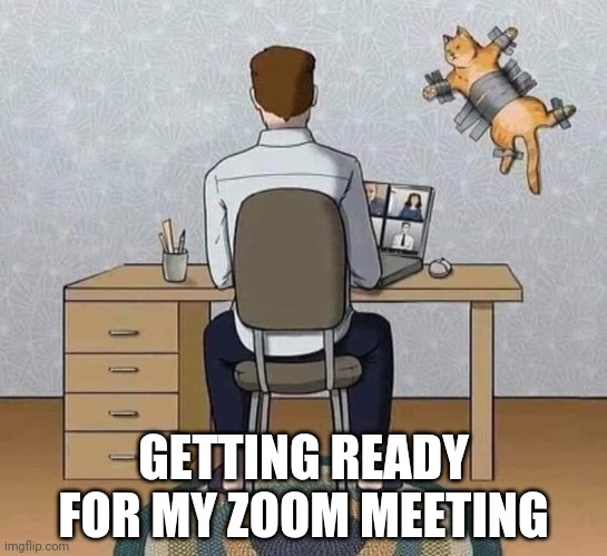 Zoom |  GETTING READY FOR MY ZOOM MEETING | image tagged in funny zoom meeting,cat on the wall | made w/ Imgflip meme maker
