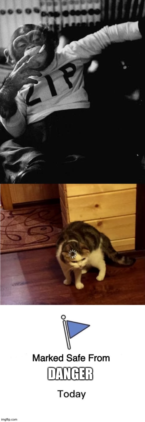 DANGER | image tagged in smoking monkey,loading cat hd,memes,marked safe from | made w/ Imgflip meme maker