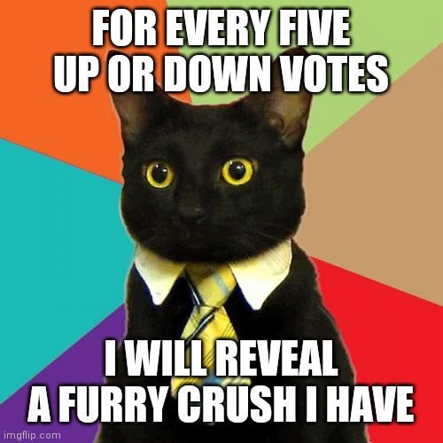 Business Cat Meme | FOR EVERY FIVE UP OR DOWN VOTES; I WILL REVEAL A FURRY CRUSH I HAVE | image tagged in memes,business cat | made w/ Imgflip meme maker