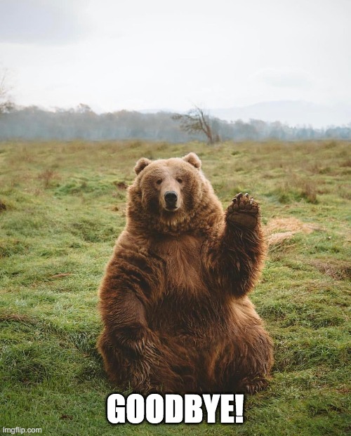 Bear Waving | GOODBYE! | image tagged in bear waving | made w/ Imgflip meme maker