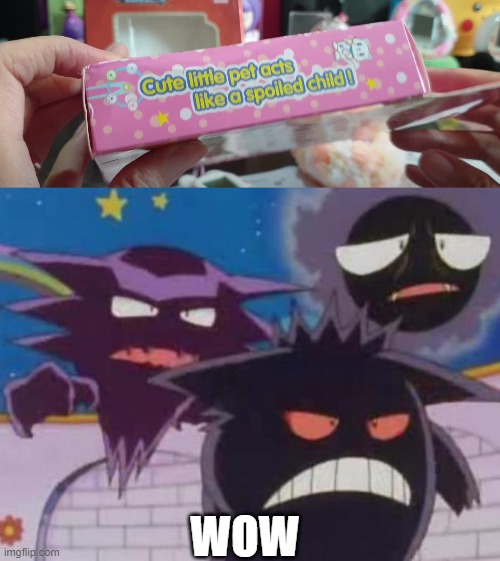 Cute little pet acts llike a spoiled child? NO! | WOW | image tagged in unsettled gastly haunter and gengar,shitpost | made w/ Imgflip meme maker