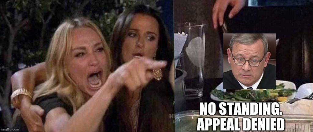 woman yelling at cat | NO STANDING. APPEAL DENIED | image tagged in woman yelling at cat | made w/ Imgflip meme maker