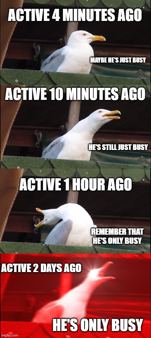 He's only busy | ACTIVE 4 MINUTES AGO; MAYBE HE'S JUST BUSY; ACTIVE 10 MINUTES AGO; HE'S STILL JUST BUSY; ACTIVE 1 HOUR AGO; REMEMBER THAT HE'S ONLY BUSY; ACTIVE 2 DAYS AGO; HE'S ONLY BUSY | image tagged in memes,inhaling seagull | made w/ Imgflip meme maker