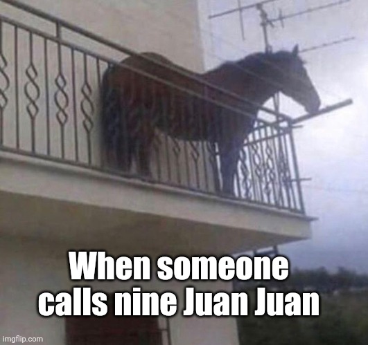 Juan | When someone calls nine Juan Juan | image tagged in juan | made w/ Imgflip meme maker