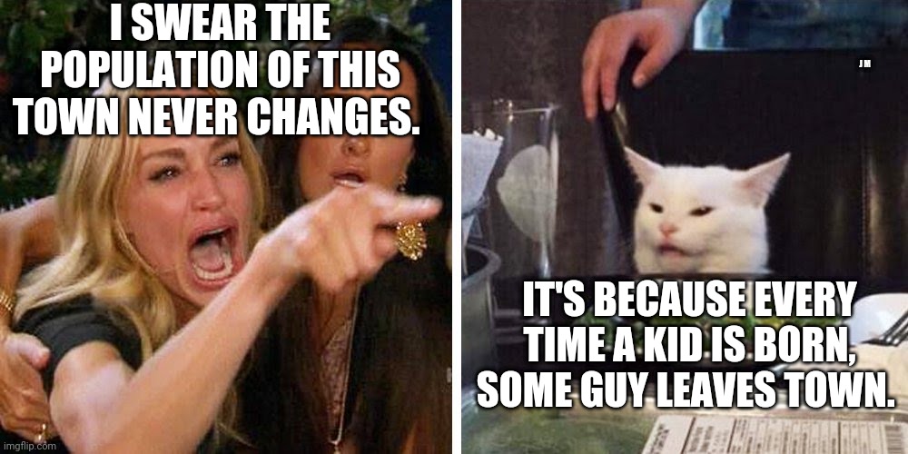 Smudge the cat | I SWEAR THE POPULATION OF THIS TOWN NEVER CHANGES. J M; IT'S BECAUSE EVERY TIME A KID IS BORN, SOME GUY LEAVES TOWN. | image tagged in smudge the cat | made w/ Imgflip meme maker