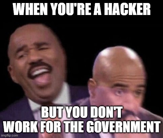 Hold Up | WHEN YOU'RE A HACKER; BUT YOU DON'T WORK FOR THE GOVERNMENT | image tagged in oh shit | made w/ Imgflip meme maker