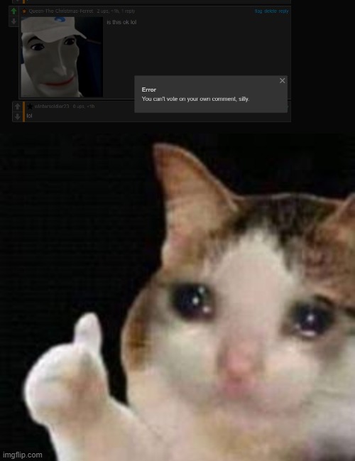 image tagged in approved crying cat | made w/ Imgflip meme maker