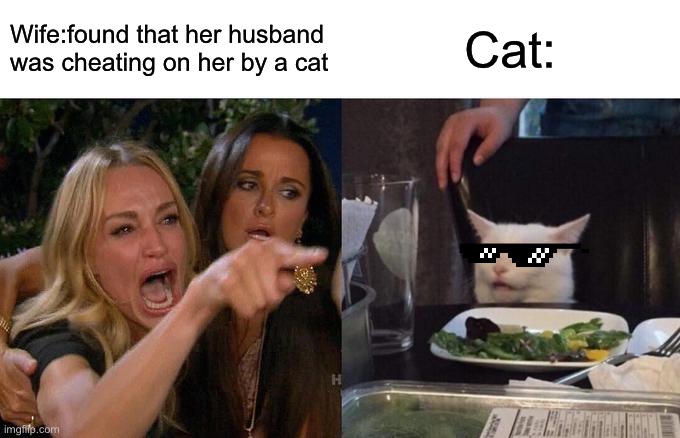 Woman Yelling At Cat | Wife:found that her husband was cheating on her by a cat; Cat: | image tagged in memes,woman yelling at cat | made w/ Imgflip meme maker