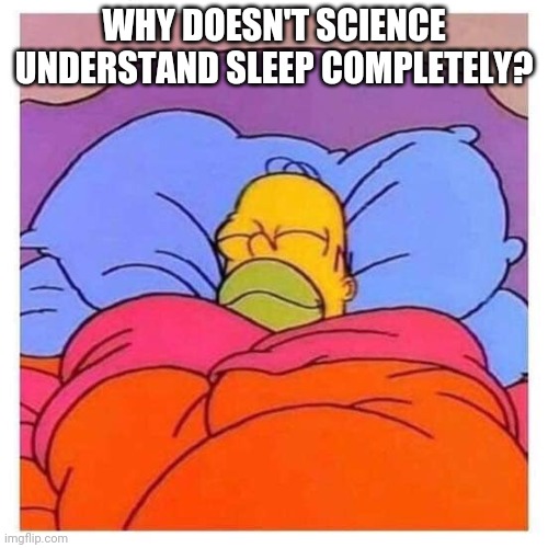 sleeping homer | WHY DOESN'T SCIENCE UNDERSTAND SLEEP COMPLETELY? | image tagged in sleeping homer | made w/ Imgflip meme maker