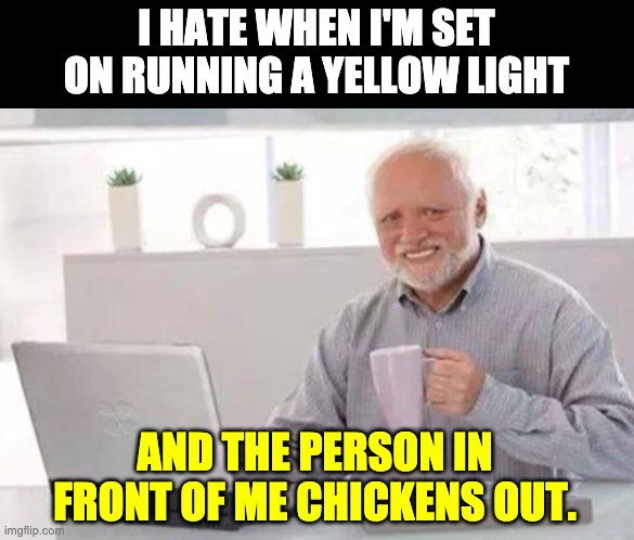 Chicken | I HATE WHEN I'M SET ON RUNNING A YELLOW LIGHT; AND THE PERSON IN FRONT OF ME CHICKENS OUT. | image tagged in harold | made w/ Imgflip meme maker