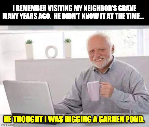 Grave | I REMEMBER VISITING MY NEIGHBOR’S GRAVE MANY YEARS AGO.  HE DIDN’T KNOW IT AT THE TIME…; HE THOUGHT I WAS DIGGING A GARDEN POND. | image tagged in harold | made w/ Imgflip meme maker