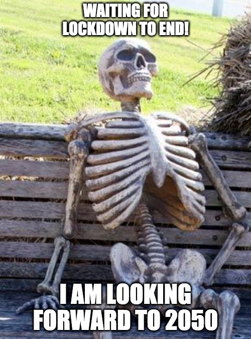 lockdown skeleton | WAITING FOR LOCKDOWN TO END! I AM LOOKING FORWARD TO 2050 | image tagged in memes,waiting skeleton | made w/ Imgflip meme maker