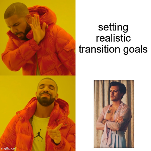 Drake Hotline Bling Meme | setting realistic transition goals | image tagged in memes,drake hotline bling,trans | made w/ Imgflip meme maker