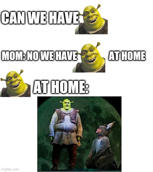 Blank White Template | CAN WE HAVE; MOM: NO WE HAVE                 AT HOME; AT HOME: | image tagged in blank white template | made w/ Imgflip meme maker