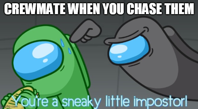 You're a sneaky little imposter | CREWMATE WHEN YOU CHASE THEM | image tagged in you're a sneaky little imposter | made w/ Imgflip meme maker