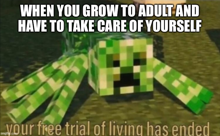 Your Free Trial of Living Has Ended | WHEN YOU GROW TO ADULT AND HAVE TO TAKE CARE OF YOURSELF | image tagged in your free trial of living has ended | made w/ Imgflip meme maker