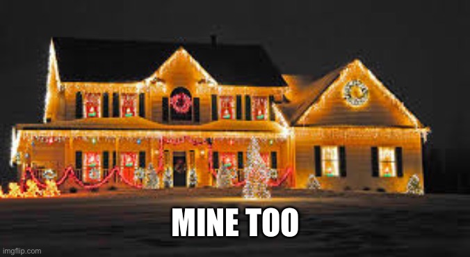 Christmas lights | MINE TOO | image tagged in christmas lights | made w/ Imgflip meme maker