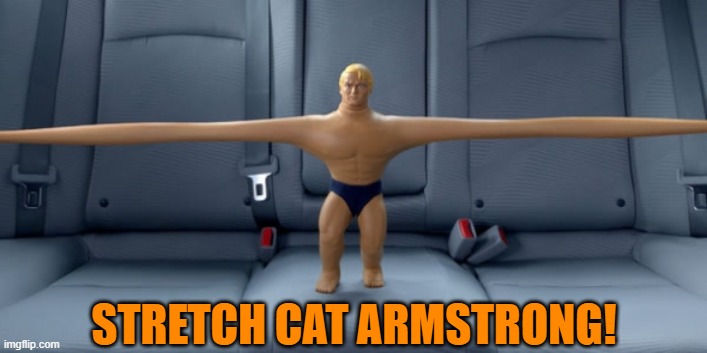 Stretch armstrong | STRETCH CAT ARMSTRONG! | image tagged in stretch armstrong | made w/ Imgflip meme maker