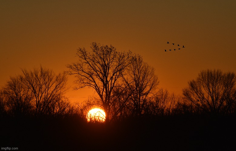 good morning! | made w/ Imgflip meme maker