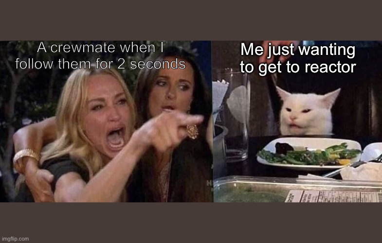 woman yelling at cat | A crewmate when I follow them for 2 seconds; Me just wanting to get to reactor | image tagged in woman yelling at cat | made w/ Imgflip meme maker