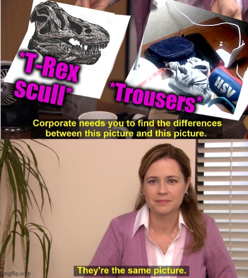 -They have their looks like. | *T-Rex scull*; *Trousers* | image tagged in memes,they're the same picture,jurassic park t rex,scully,heaviest objects,yoga pants | made w/ Imgflip meme maker