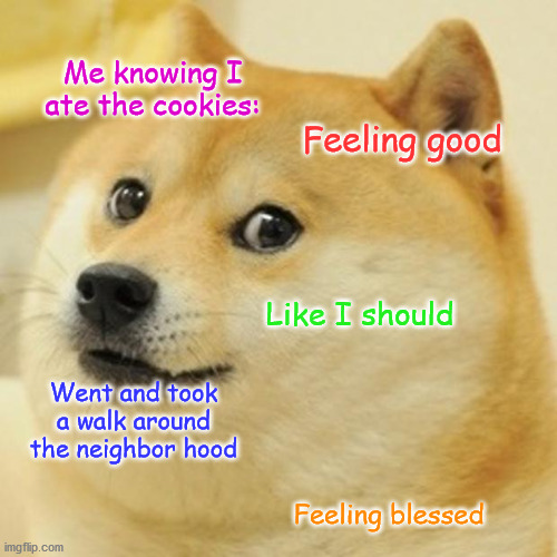 Me when I have this look on mah face | Me knowing I ate the cookies:; Feeling good; Like I should; Went and took a walk around the neighbor hood; Feeling blessed | image tagged in memes,doge | made w/ Imgflip meme maker