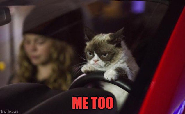 Grumpy Cat Driving | ME TOO | image tagged in grumpy cat driving | made w/ Imgflip meme maker