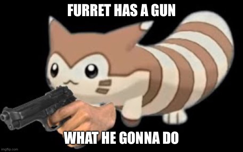 I don't even know... | FURRET HAS A GUN; WHAT HE GONNA DO | image tagged in furret with a gun | made w/ Imgflip meme maker