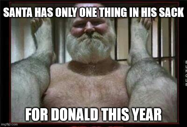 Donalds been naughty... | SANTA HAS ONLY ONE THING IN HIS SACK; FOR DONALD THIS YEAR | image tagged in dirty santa,trump,biden,elections2020 | made w/ Imgflip meme maker