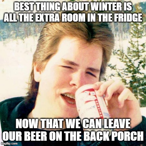 Eighties Teen | BEST THING ABOUT WINTER IS ALL THE EXTRA ROOM IN THE FRIDGE; NOW THAT WE CAN LEAVE OUR BEER ON THE BACK PORCH | image tagged in memes,eighties teen | made w/ Imgflip meme maker