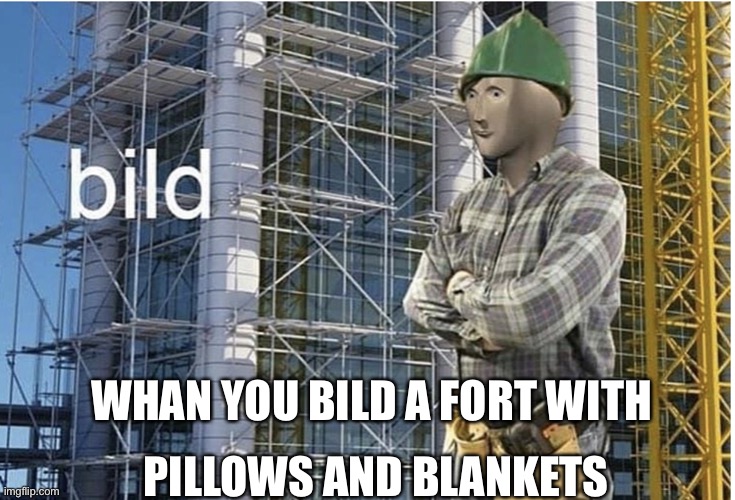 bild meme | WHAN YOU BILD A FORT WITH; PILLOWS AND BLANKETS | image tagged in bild meme | made w/ Imgflip meme maker