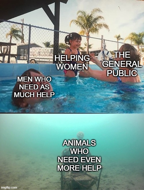 Petition for UN Animals | THE GENERAL PUBLIC; HELPING WOMEN; MEN WHO NEED AS MUCH HELP; ANIMALS WHO NEED EVEN MORE HELP | image tagged in mother ignoring kid drowning in a pool,memes,dank memes,spicy memes | made w/ Imgflip meme maker