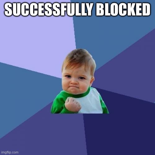 Success Kid Meme | SUCCESSFULLY BLOCKED | image tagged in memes,success kid | made w/ Imgflip meme maker