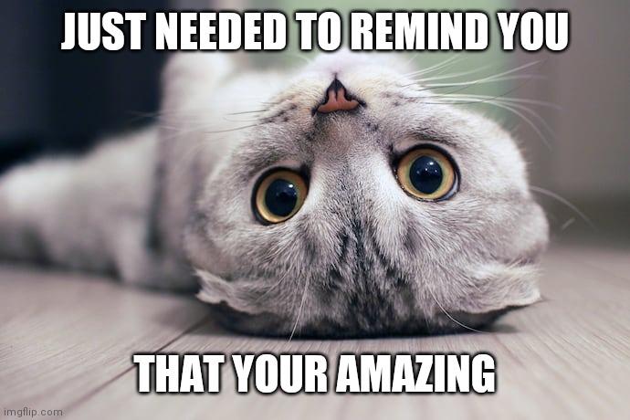JUST NEEDED TO REMIND YOU; THAT YOUR AMAZING | image tagged in cute cat | made w/ Imgflip meme maker