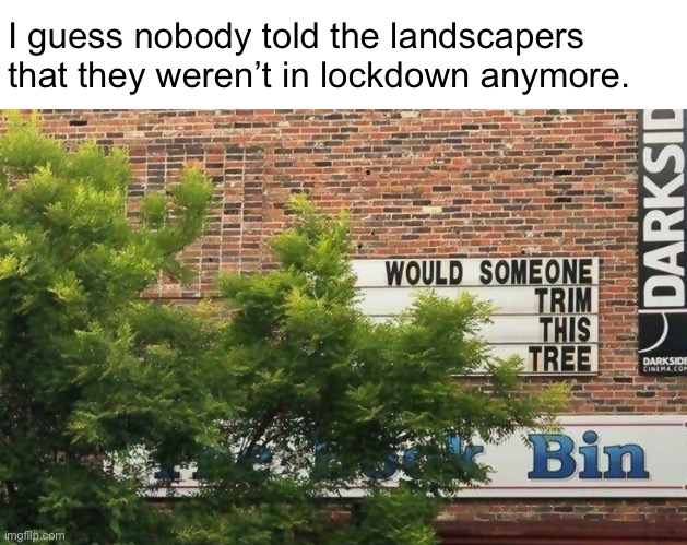 We’ll take two tickets for, “Would Someone Trim This Tree.” | I guess nobody told the landscapers that they weren’t in lockdown anymore. | image tagged in funny memes,funny signs | made w/ Imgflip meme maker