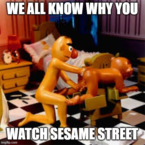 WE ALL KNOW WHY YOU WATCH SESAME STREET | made w/ Imgflip meme maker