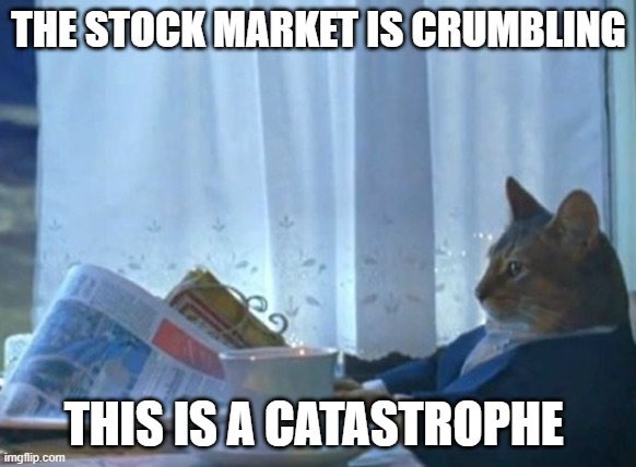 cat with newspaper | THE STOCK MARKET IS CRUMBLING; THIS IS A CATASTROPHE | image tagged in cat with newspaper | made w/ Imgflip meme maker