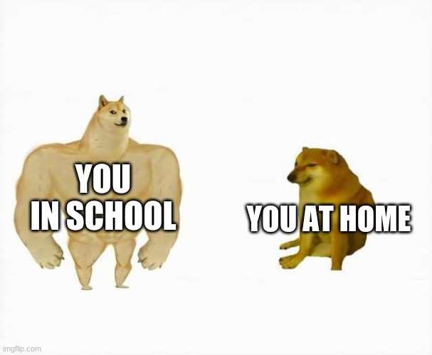 Strong dog vs weak dog | YOU AT HOME; YOU IN SCHOOL | image tagged in strong dog vs weak dog | made w/ Imgflip meme maker