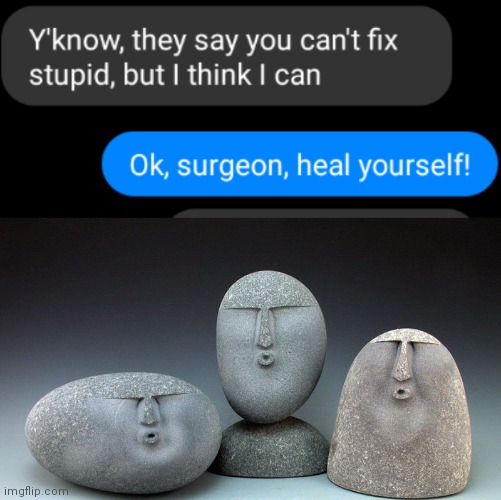 image tagged in rare insults,texting,surgeon,you can't fix stupid,oof stones | made w/ Imgflip meme maker