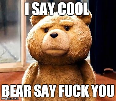 I SAY COOL
 BEAR SAY F**K YOU | image tagged in memes,ted | made w/ Imgflip meme maker