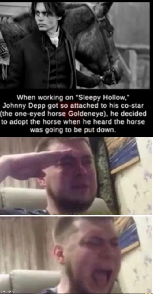 I salute you Johnny Depp | image tagged in crying salute,johnny depp | made w/ Imgflip meme maker
