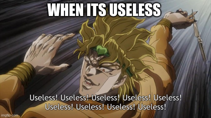 USELESS | WHEN ITS USELESS | image tagged in useless | made w/ Imgflip meme maker