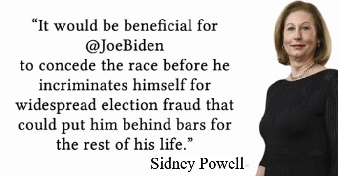 Dear Joe Biden... | Sidney Powell | image tagged in letter to biden,self incrimination,biden crime family,crooked democrats,election fraud,voter fraud | made w/ Imgflip meme maker