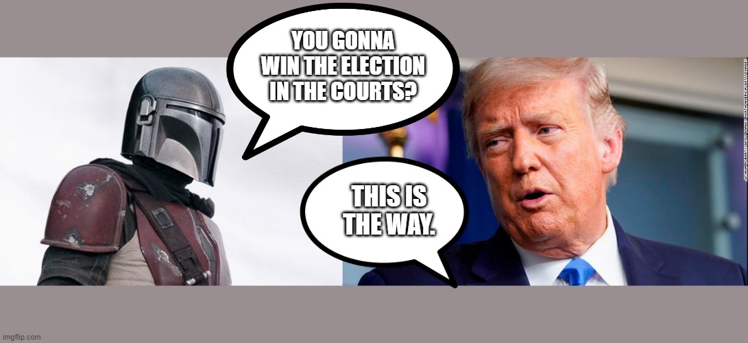 Mandalorian | YOU GONNA WIN THE ELECTION IN THE COURTS? THIS IS THE WAY. | image tagged in election 2020 | made w/ Imgflip meme maker