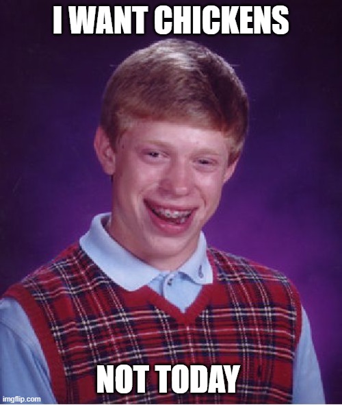 Bad Luck Brian Meme | I WANT CHICKENS; NOT TODAY | image tagged in memes,bad luck brian | made w/ Imgflip meme maker